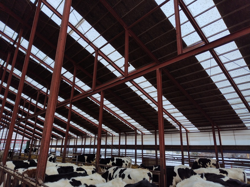 発酵牛床（コンポストバーン、バイオベッド）その24